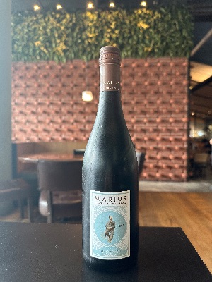 MARIUS SYRAH GRENACHE 2025 (bottle) Michel Chapoutier - France