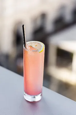 Raspberry Highball