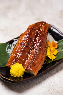 Unagi Kabayaki