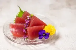 Tuna/Maguro Sashimi
