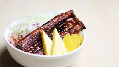 Unagi Don